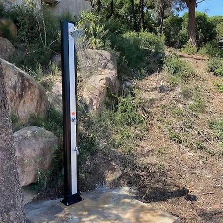 Sea View Forest Apartment