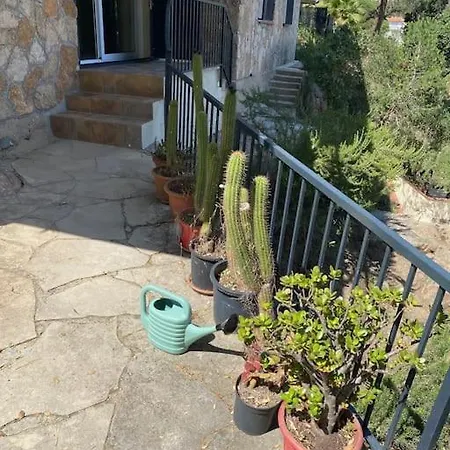 Sea View Forest * リョレート・デ・マル